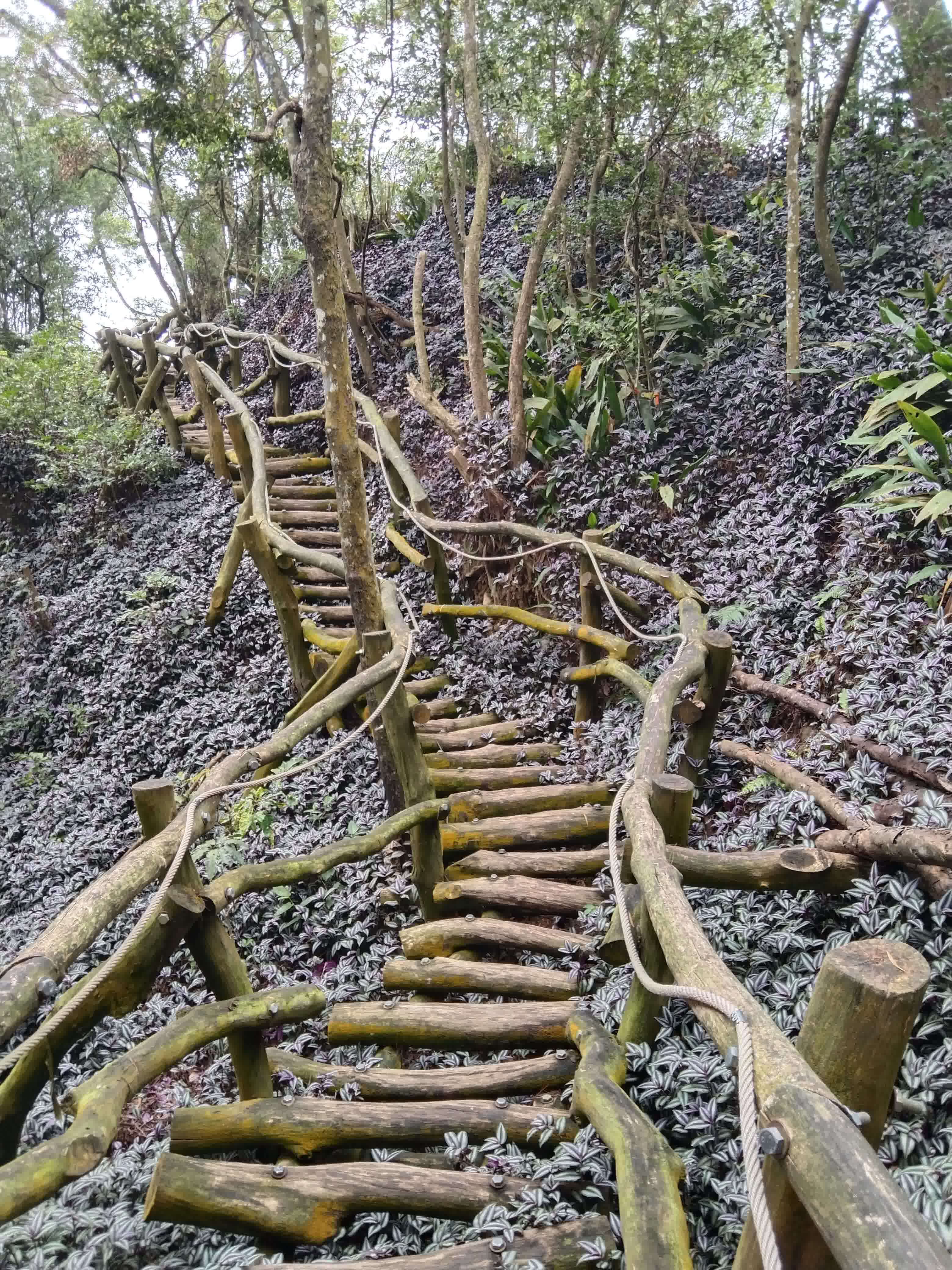 置中圖片